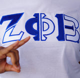 Zeta Phi Beta Color Block Greek Lettered Crewneck Sweatshirt